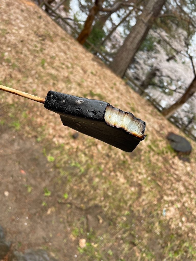 f:id:hacohaco1103:20250429185220j:image
