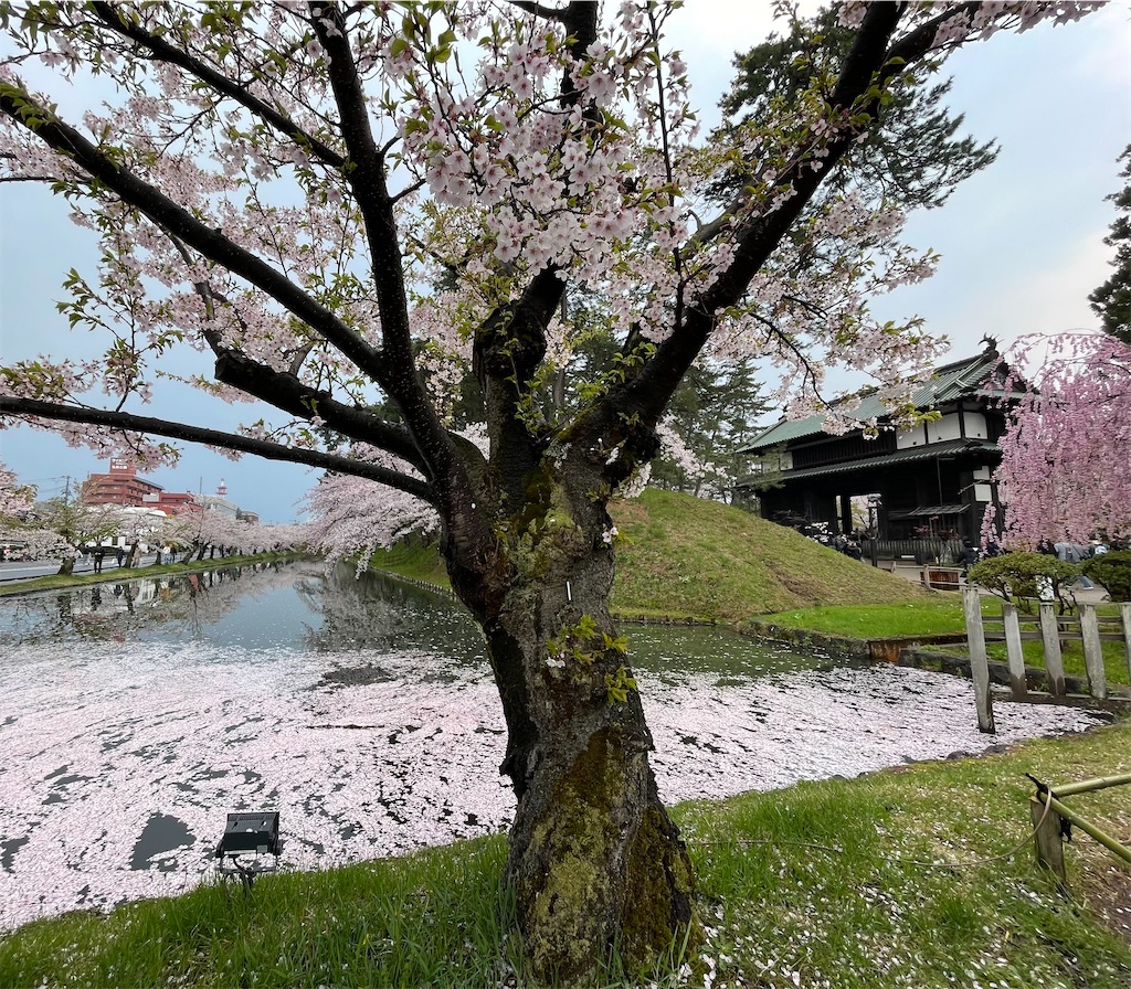 f:id:hacohaco1103:20250429185357j:image