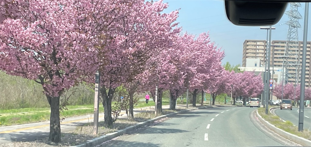 f:id:hacohaco1103:20250429190326j:image