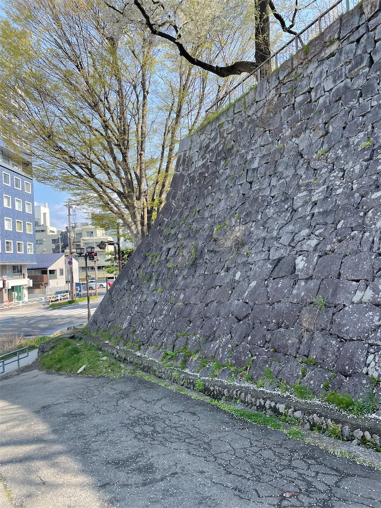 f:id:hacohaco1103:20250429190349j:image