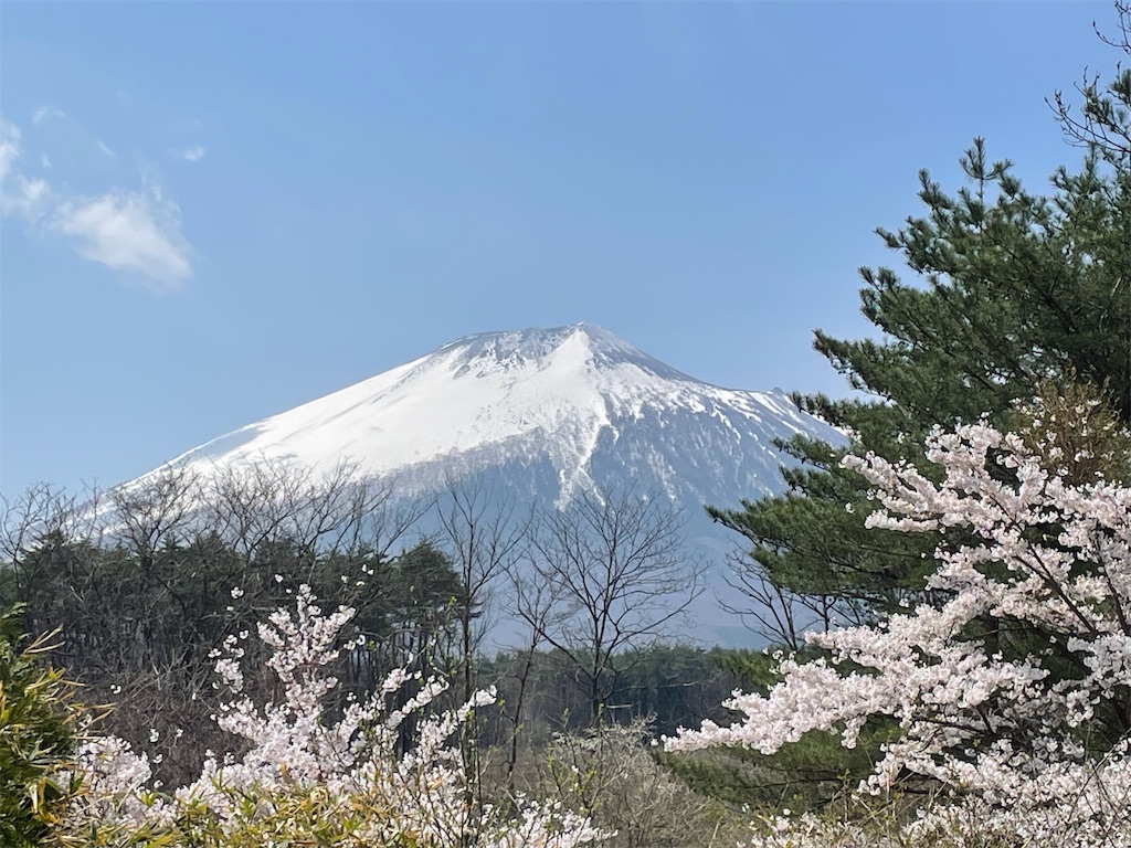 f:id:hacohaco1103:20250429190359j:image