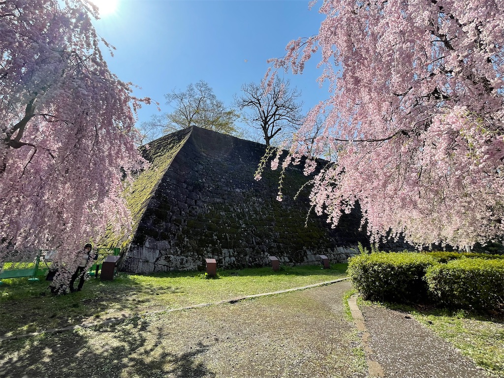 f:id:hacohaco1103:20250429190527j:image