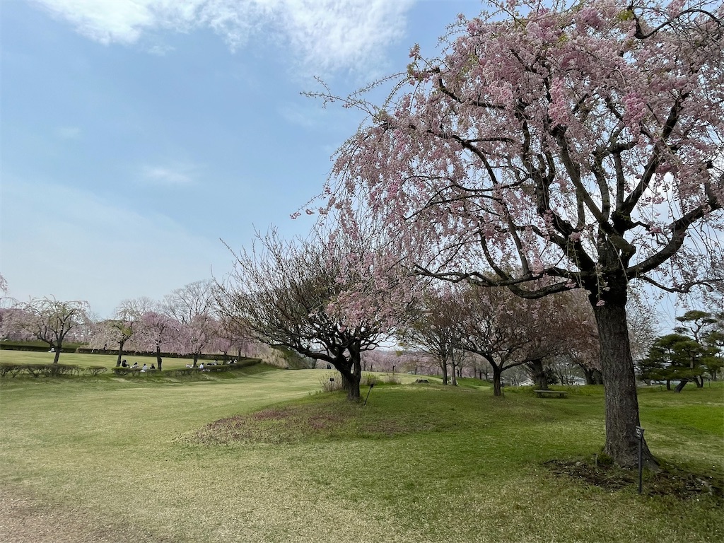 f:id:hacohaco1103:20250429191151j:image