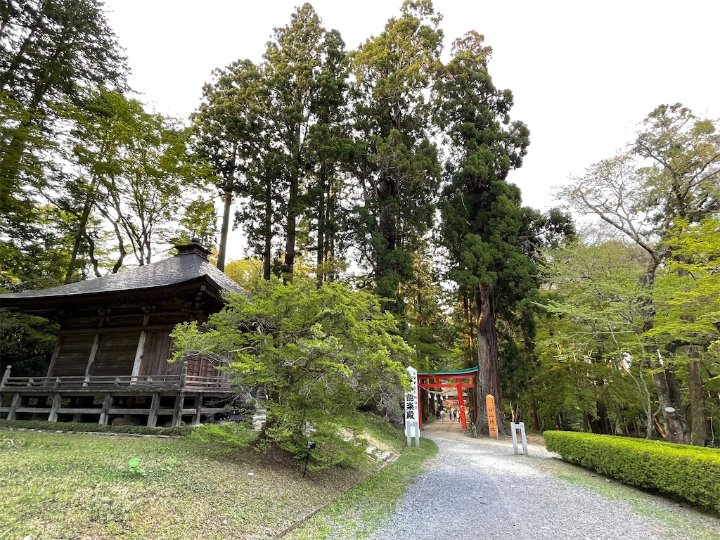 f:id:hacohaco1103:20250429191332j:image