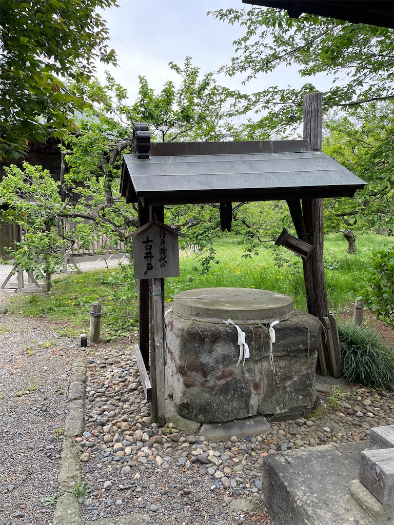 f:id:hacohaco1103:20250506192230j:image