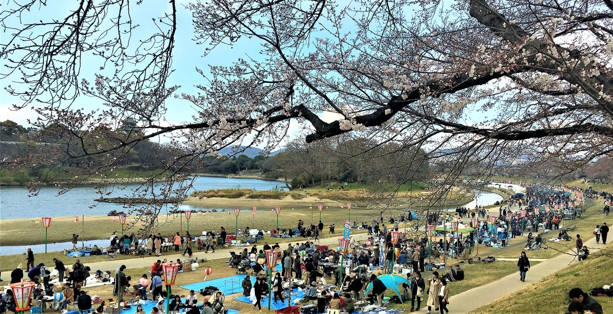 f:id:hacokibi:20190331132413j:plain f:id:hacokibi:20190331132413j:plain