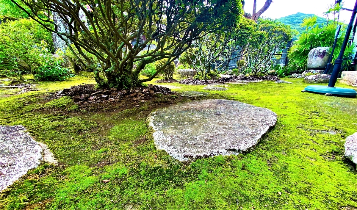 f:id:hacokibi:20210822141939j:plain