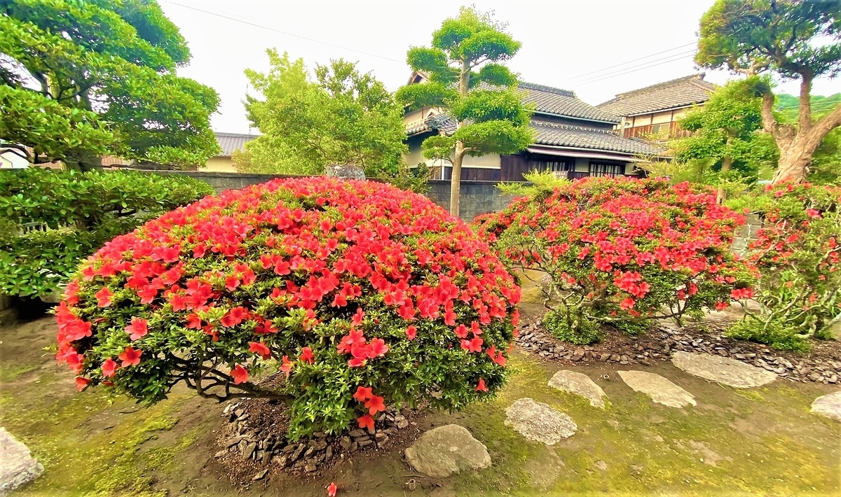 ２２年６月２日 木 Haco Kibi Diary はこきび 日記