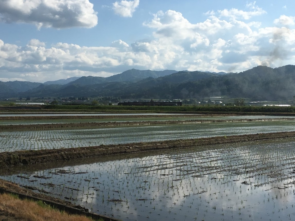 f:id:hacokku:20170606185134j:plain f:id:hacokku:20170606185134j:plain