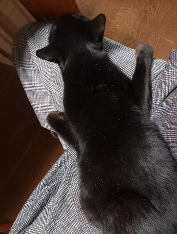やまと