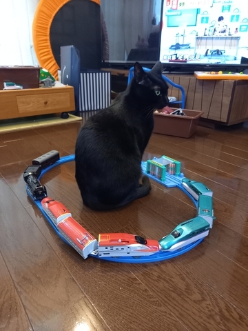 ぼん