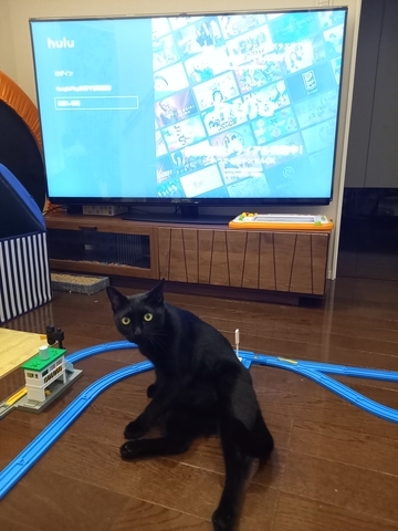 ぼん