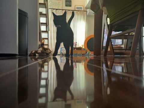 ぼん