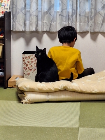 ぼん