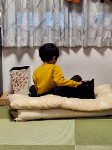 ぼん