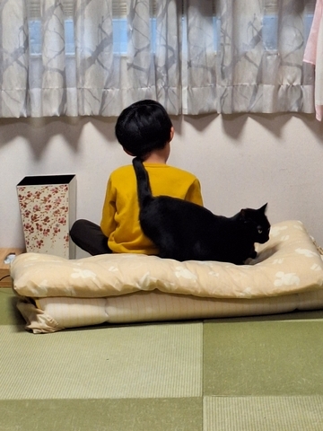 ぼん