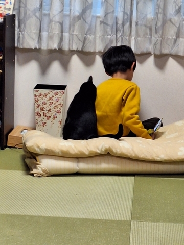 ぼん