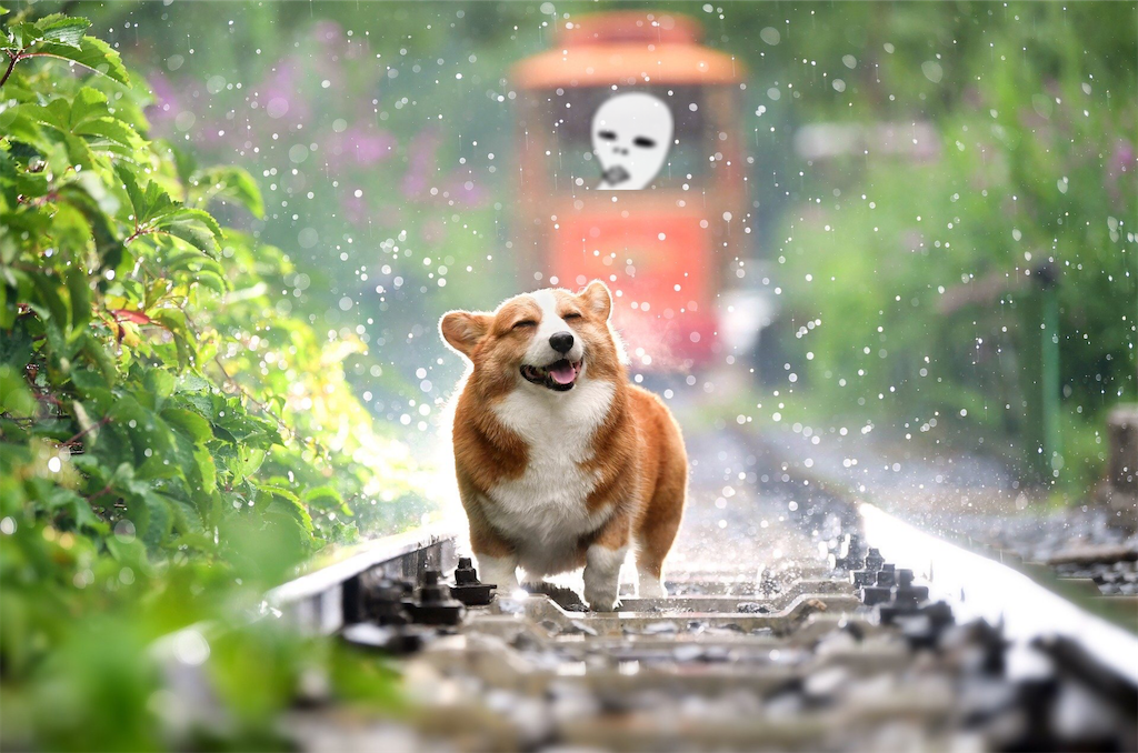 f:id:had8c5fc72znl256:20200411183846p:image f:id:had8c5fc72znl256:20200411183846p:image