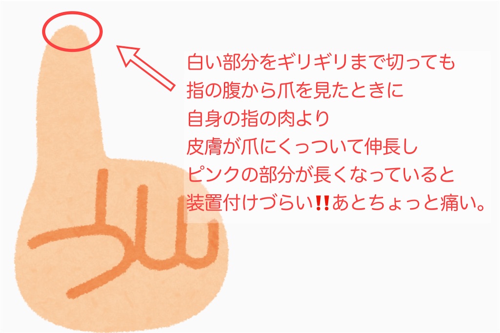 f:id:hada_ganjeol:20240119105831j:image