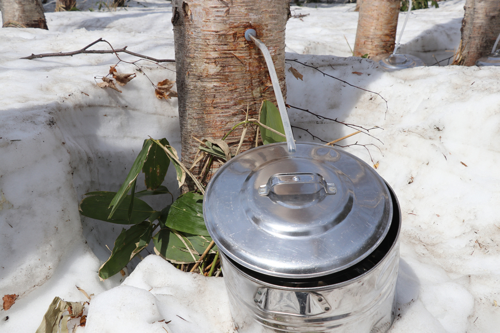 f:id:hadaka_denkyu:20180423182011j:plain f:id:hadaka_denkyu:20180423182011j:plain