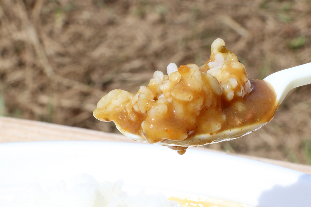 f:id:hadaka_denkyu:20180423182132j:plain f:id:hadaka_denkyu:20180423182132j:plain