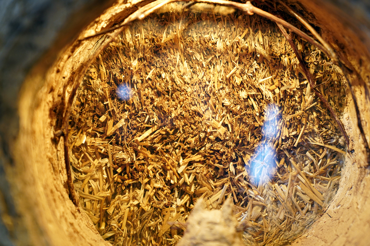 f:id:hadaka_denkyu:20190323153159j:plain f:id:hadaka_denkyu:20190323153159j:plain