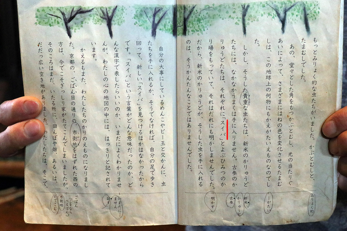 f:id:hadaka_denkyu:20190323153843j:plain f:id:hadaka_denkyu:20190323153843j:plain