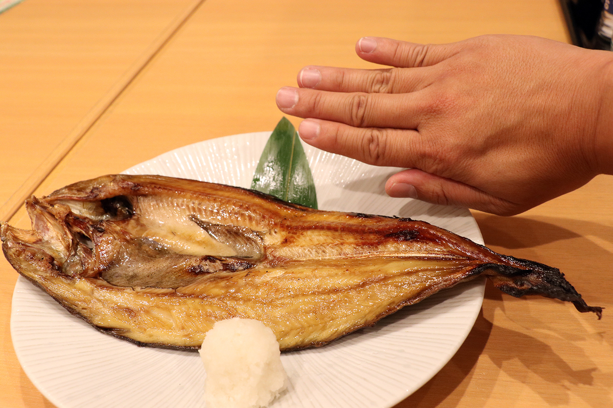 f:id:hadaka_denkyu:20190620201652j:plain