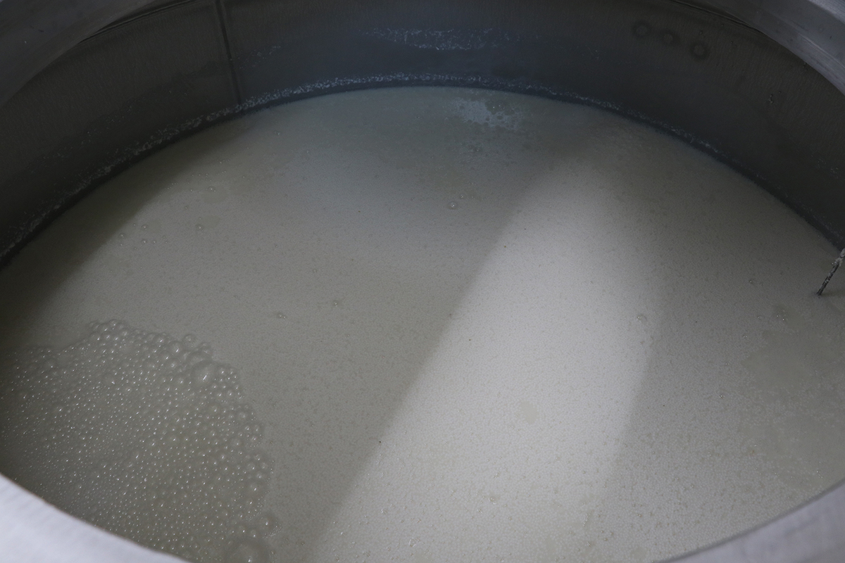 f:id:hadaka_denkyu:20190729120714j:plain f:id:hadaka_denkyu:20190729120714j:plain