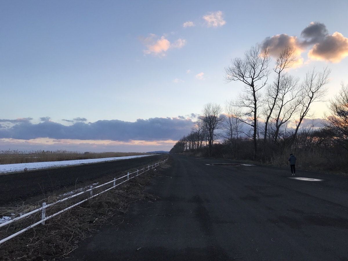 f:id:hadaka_karada:20190401010431j:plain