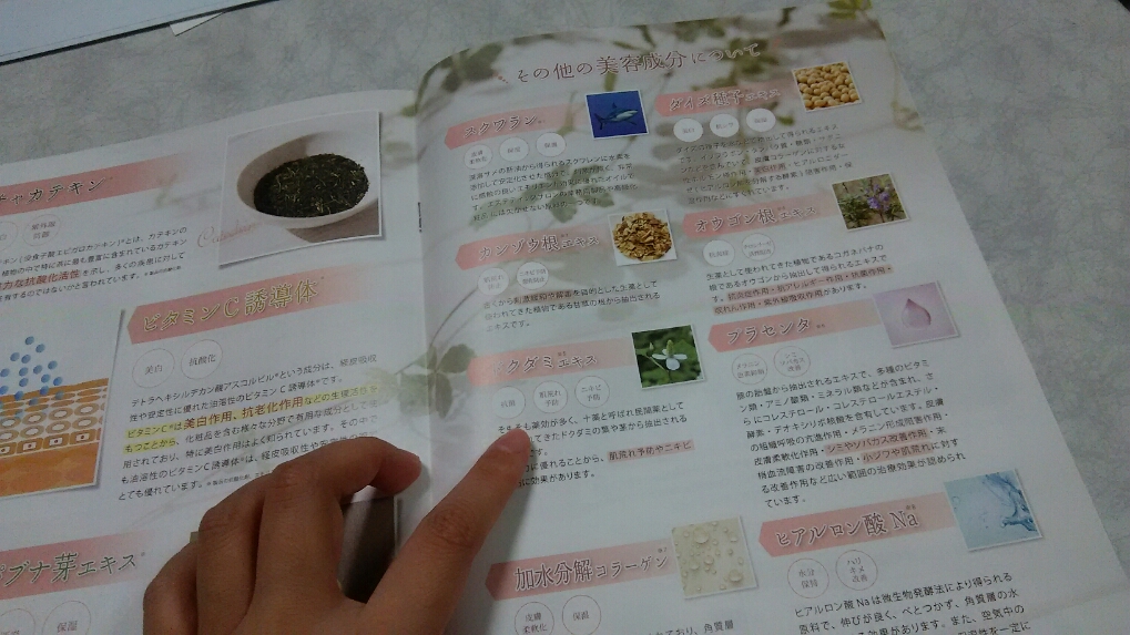 f:id:hadakea:20160915174409j:plain