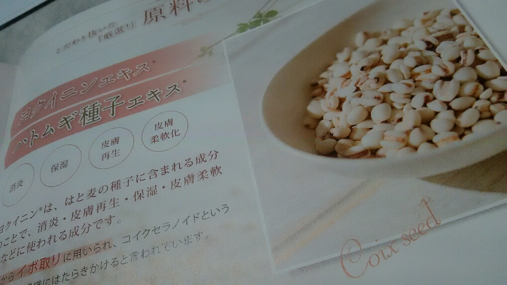 f:id:hadakea:20160915174435j:plain