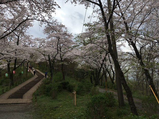 f:id:hadanon:20170413153009j:plain f:id:hadanon:20170413153009j:plain