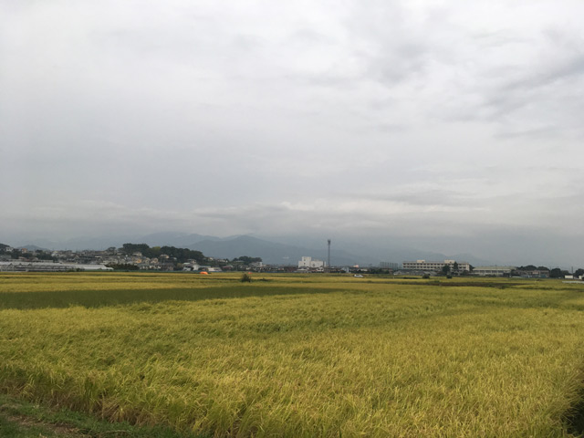 f:id:hadanon:20171007084707j:plain f:id:hadanon:20171007084707j:plain