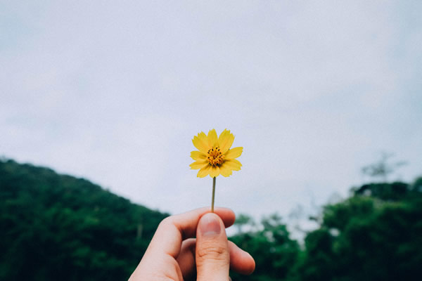 f:id:hadatherapy:20180821113249j:plain