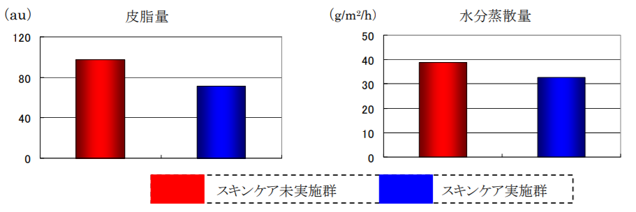 f:id:hadaturu-keikaku:20190207093824p:plain