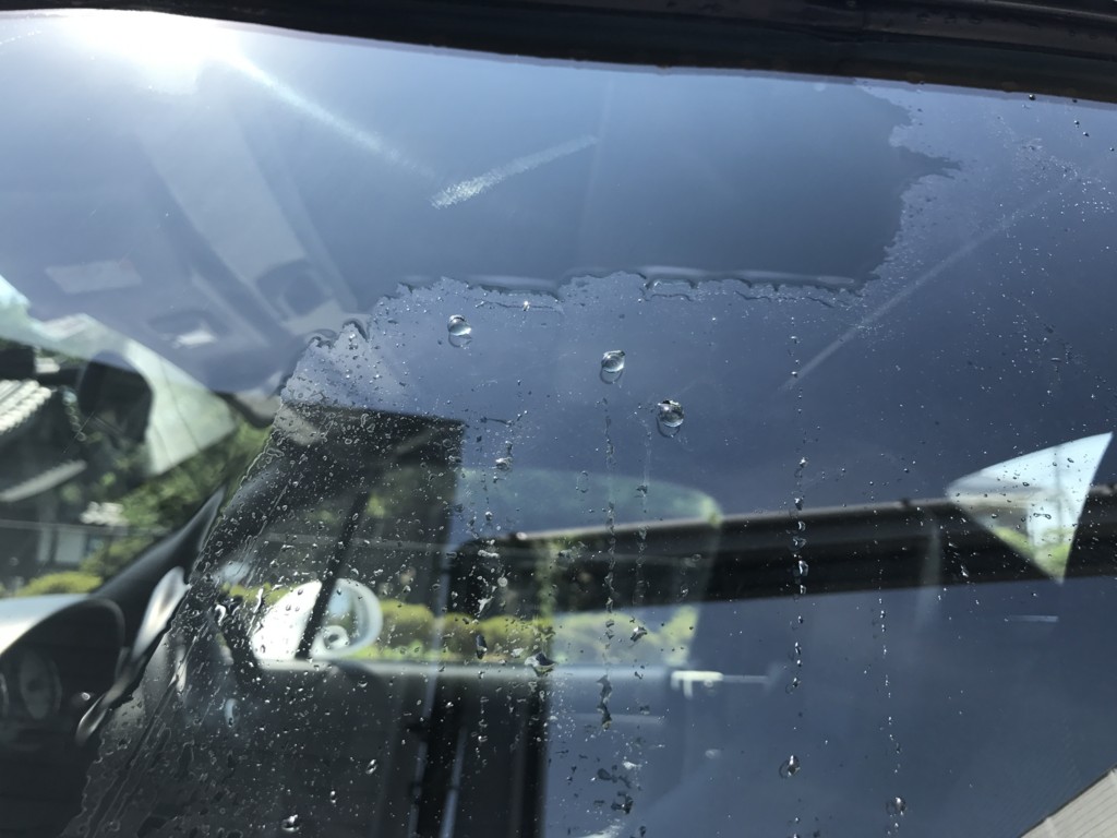 f:id:hageatama-:20170521124950j:plain