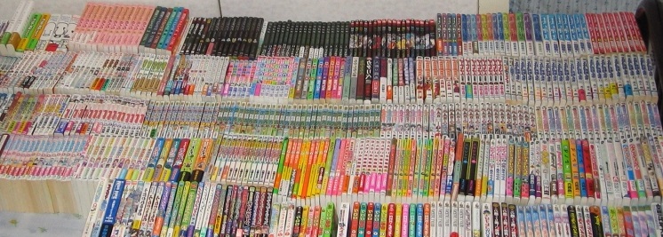 f:id:hagedesukedonanika7:20170615115358j:plain