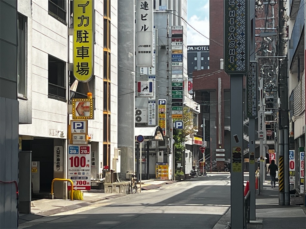 f:id:hageprin:20240813205947j:image