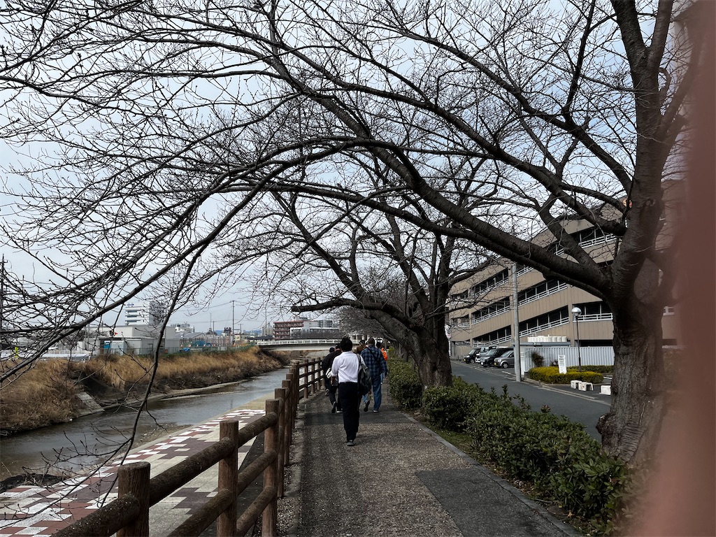 f:id:hageprin:20250219020619j:image