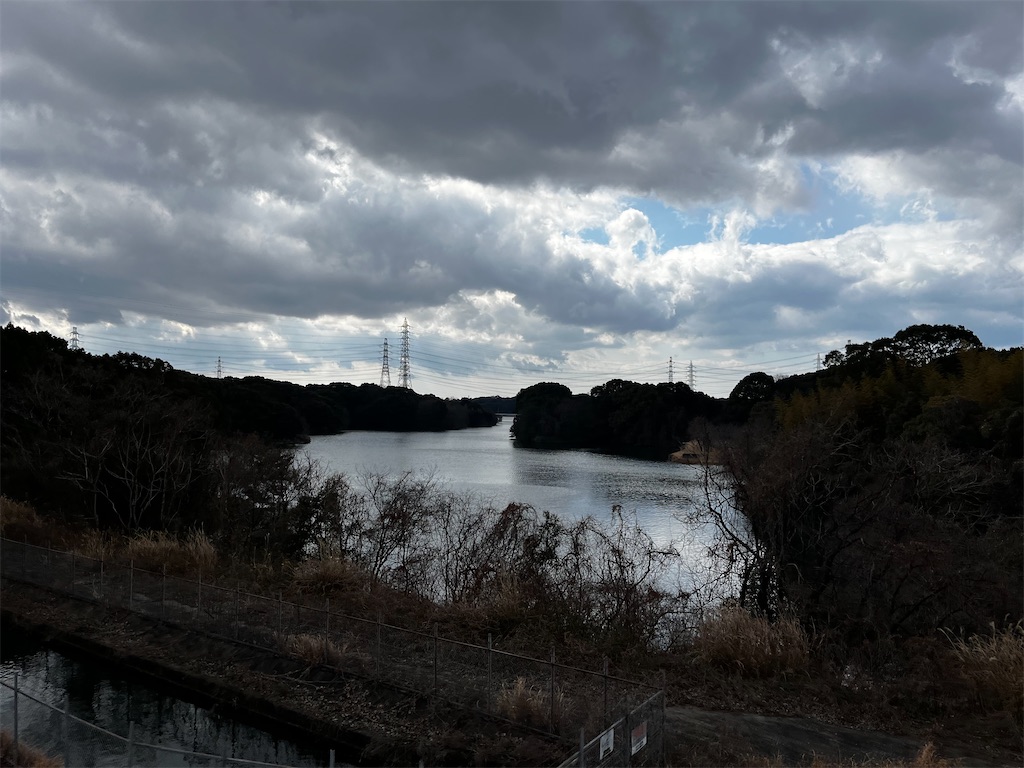f:id:hageprin:20250224130144j:image