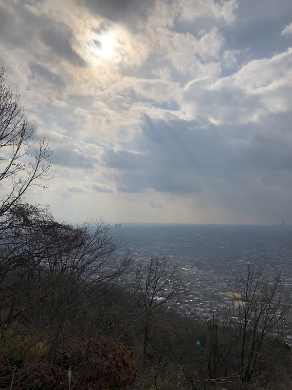 イメージ 7