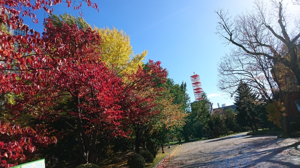 f:id:hagetaka_traveler:20181217141952j:plain f:id:hagetaka_traveler:20181217141952j:plain
