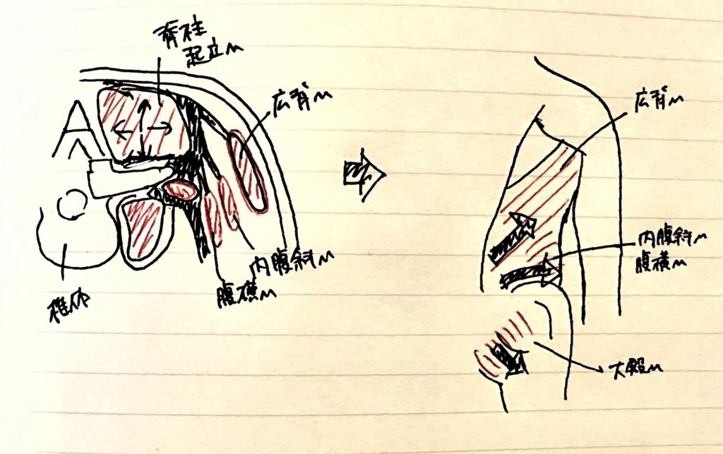 f:id:hagidaiki:20160713203903j:plain f:id:hagidaiki:20160713203903j:plain
