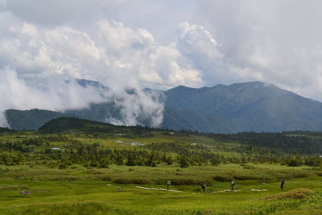 f:id:hagihayuki:20180523115811j:plain