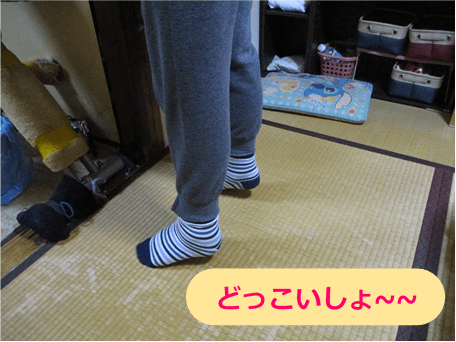 室内でかかと上げ運動をしている女性