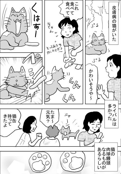 f:id:hagitani-naoko:20110813212202j:image f:id:hagitani-naoko:20110813212202j:image
