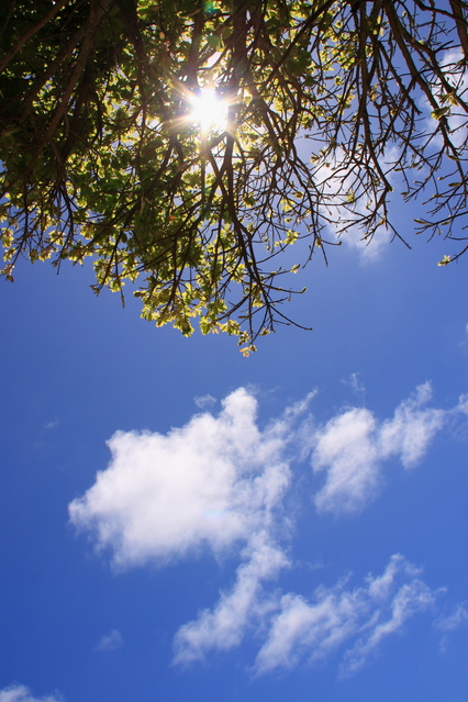 f:id:hagitani-naoko:20120410134351j:image:w300:left f:id:hagitani-naoko:20120410134351j:image:w300:left