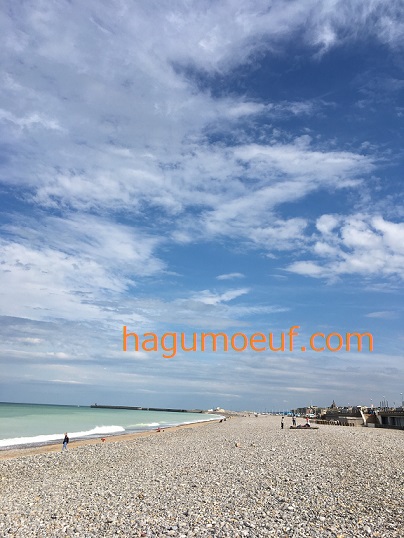 f:id:hagumo17:20190609135316j:plain f:id:hagumo17:20190609135316j:plain
