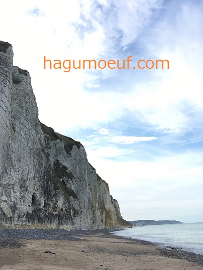 f:id:hagumo17:20190609135818j:plain f:id:hagumo17:20190609135818j:plain